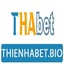 thienhabetbio's avatar