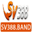 sv388band's avatar