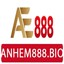 anhem888bio's avatar