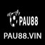 pau88vin's avatar