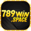 789winspace's avatar