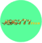 aog777team's avatar