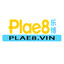 plae8vin's avatar