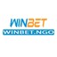winbetngo's avatar