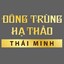 dongtrunghathaothaiminh's avatar