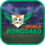 bongdasoworld's avatar