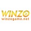 winzogamenet's avatar