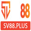 sv88plus's avatar