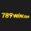 789wintips's avatar