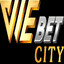 viebetcity's avatar