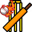 cricfree's avatar