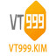 vt999kim's avatar