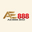 ae888bid's avatar