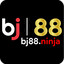 bj88ninja's avatar