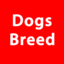 dogsbreedorg's avatar