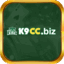 k9ccbiz's avatar