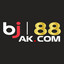 bj88ak's avatar