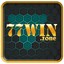 77winzone's avatar