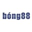 bong88biz's avatar