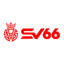sv66cyou's avatar