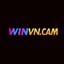 winvncam's avatar