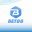 bet88show's avatar