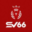 sv66network's avatar