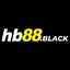 hb88black's avatar