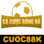 cacuocbongda's avatar