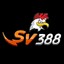 sv388dance's avatar