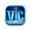 vicexpress's avatar