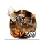 sv388sarl's avatar