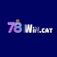 78wincat's avatar