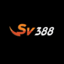 sv388v1net's avatar
