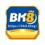 bk8blog's avatar