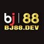 bj888dev's avatar