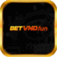 betvndfun1's avatar