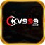 kv999work's avatar