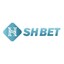 shbet1cfd's avatar