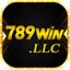 789winllc1's avatar