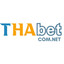 thabetcomnet's avatar