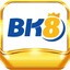 bk8markets's avatar