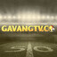 gavangtvco's avatar