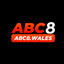 abc8wales's avatar
