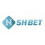 shbetsbiz's avatar