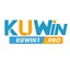 kuwin1pro1's avatar