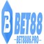 bet8886pro's avatar