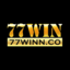 77winnco's avatar