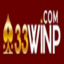 33winppcom's avatar