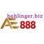 bohlingerbiz's avatar